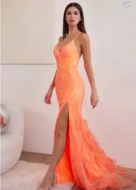 Fabulous Feathers Gown