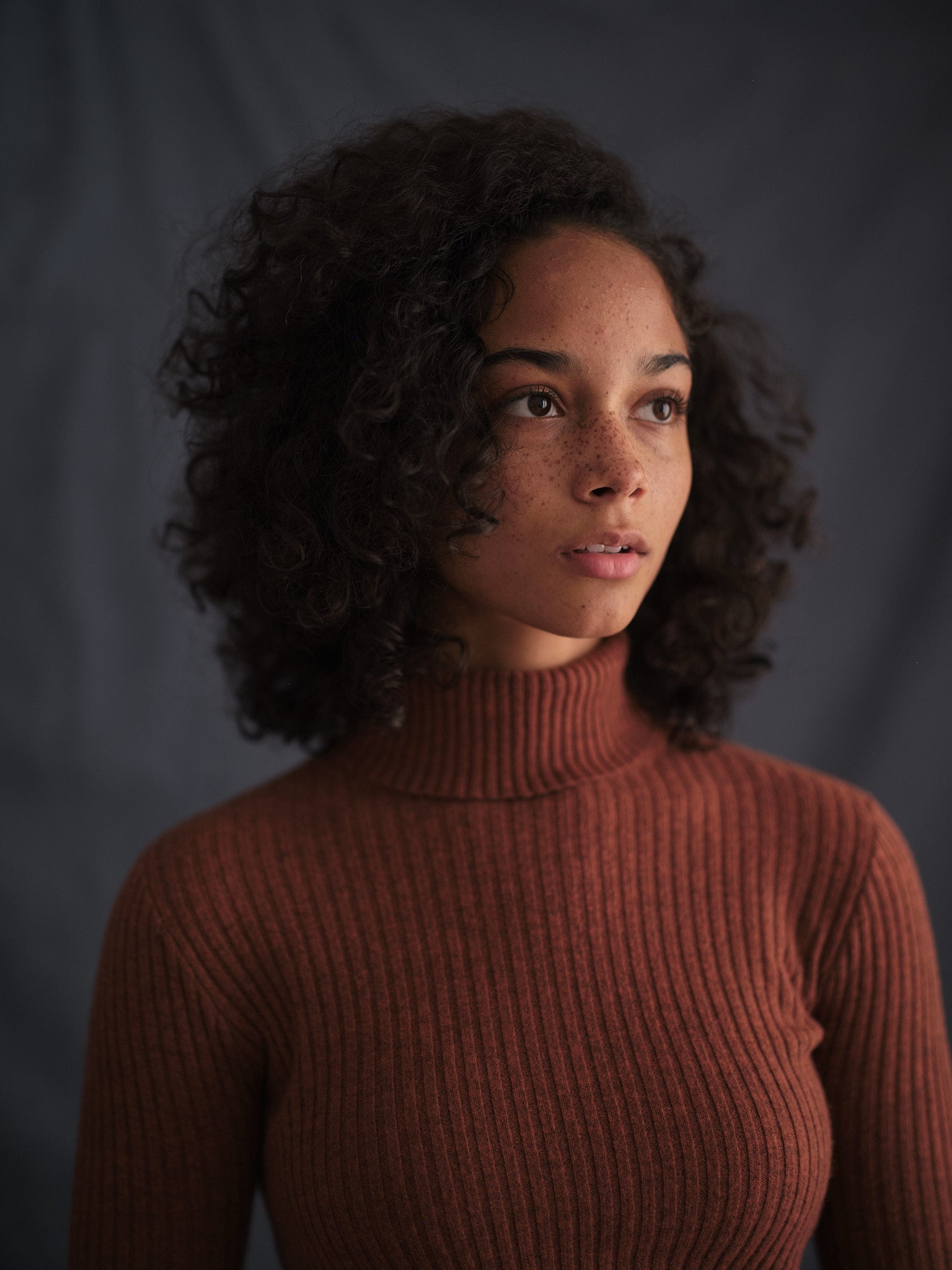 Merino Turtleneck