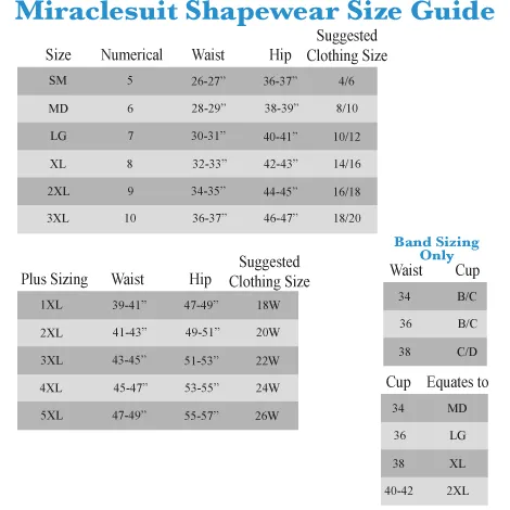 Miraclesuit Shapewear Flexible Fit Waistline Shaping Pantliner