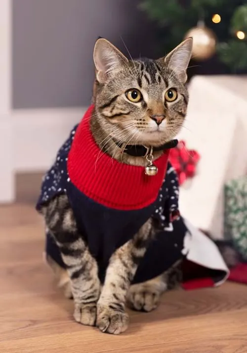 Santa and Reindeer Pet Sweater